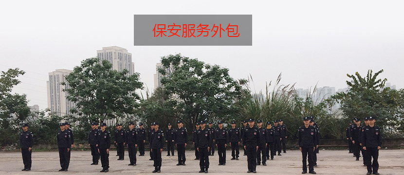 在中国人力资源91看片网站入口成为了主流的选择